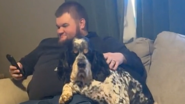 Dis-moi que ton chien est fâché sans me le dire...