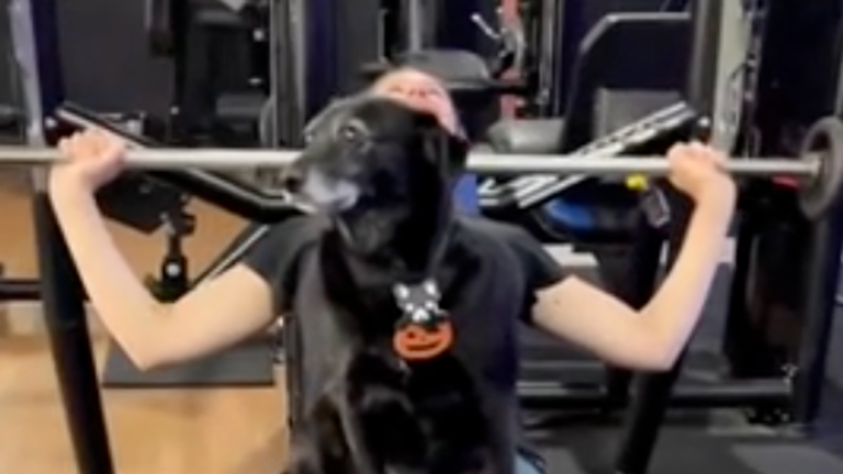 Un peu de motivation au gym