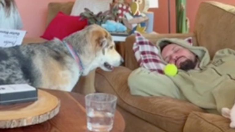 Veux-tu jouer avec moi?