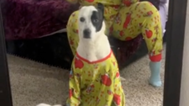 Pas trop content de son pyjama