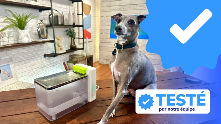 Fontaine à eau Amicura pour chiens et chats: testée par Lambert