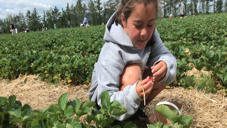 Une activité d’été à faire en famille au Québec