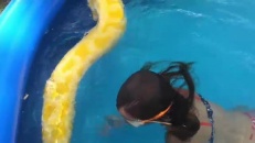 Un énorme python dans une piscine résidentielle!