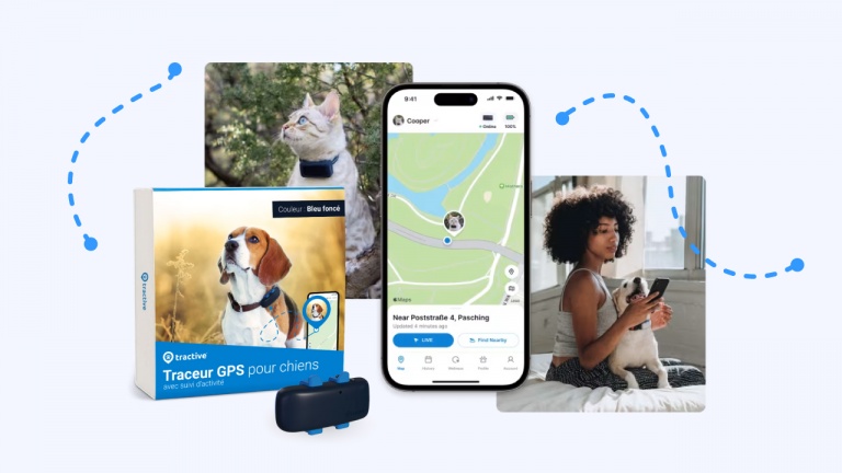 Ne perdez jamais votre chien ou votre chat grâce à ce GPS pour animaux Ne perdez jamais votre chien ou votre chat grâce à ce GPS pour animaux