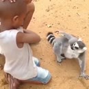 À quel moment je vous ai demandé d'arrêter?