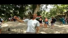 Deux singes deviennent intimes... sur un touriste!