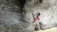 Grimper comme les singes