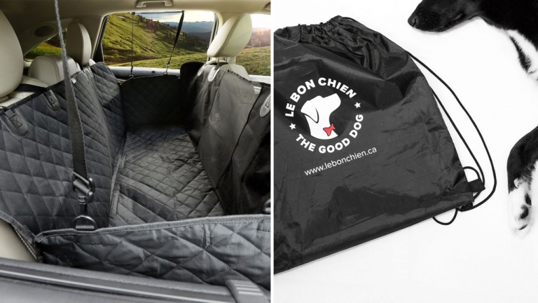 Protégez votre voiture des poils d’animaux avec ce super produit Le bon chien
