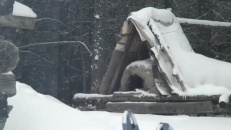 Un jacuzzi qui ne coûte pas un sous!