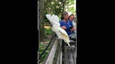 Un drôle de moineau