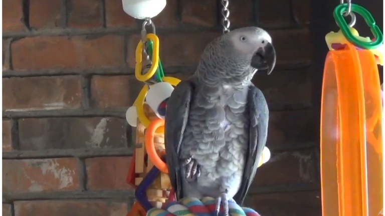 Je pense qu'il y a un robinet qui coule