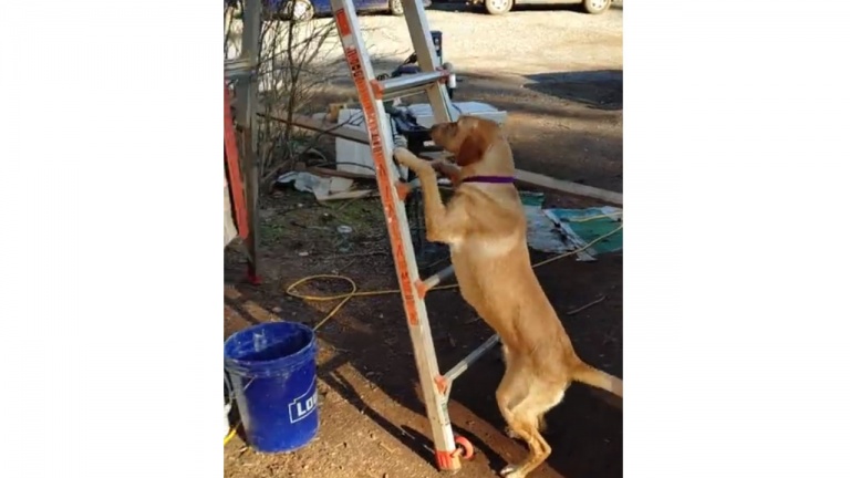 Aucun obstacle entre ses caresses et lui