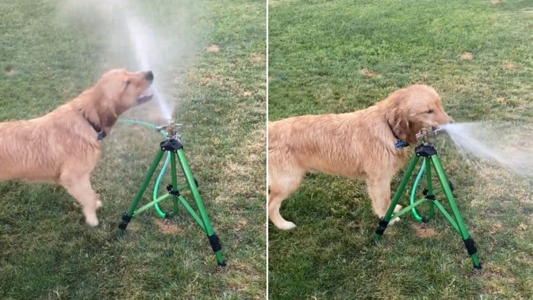L’été, on n’est jamais trop hydraté!