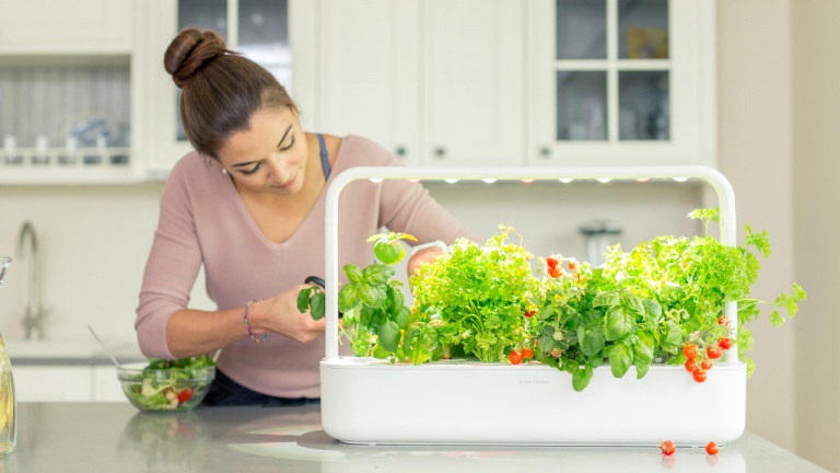 Ce jardin intelligent permet de faire pousser fines herbes, fruits et légumes été comme hiver