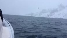 Une rencontre imprévue en pleine navigation!