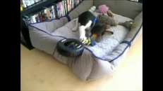 Jouet un peu trop gros?
