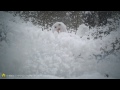 Pour tous ceux qui en ont marre de l'hiver
