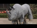 Au secours! Un rhino de papier mâché s'est évadé!