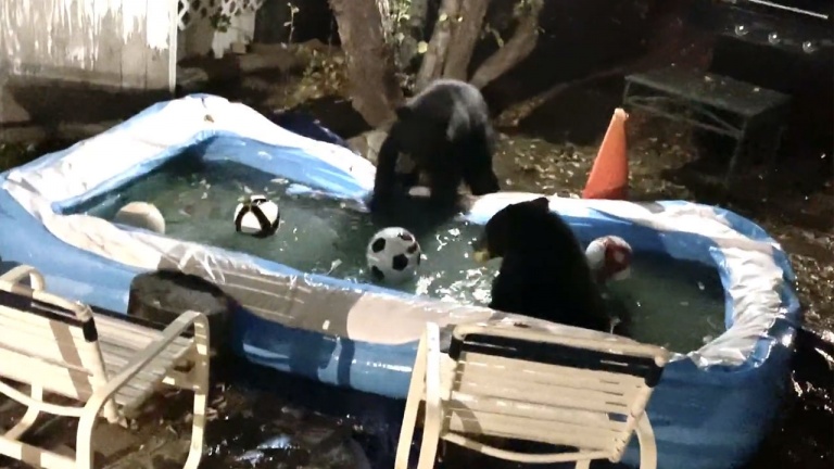 La baignade peut bien attendre quelques heures… 