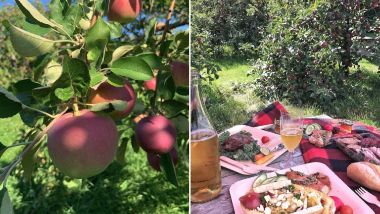 Le verger gourmand et épicurien à visiter à Oka dans les Laurentides