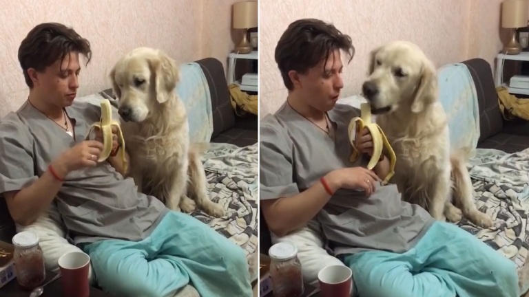 Tu pensais être subtil? C’est raté!