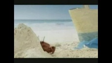 Le roi des crabes