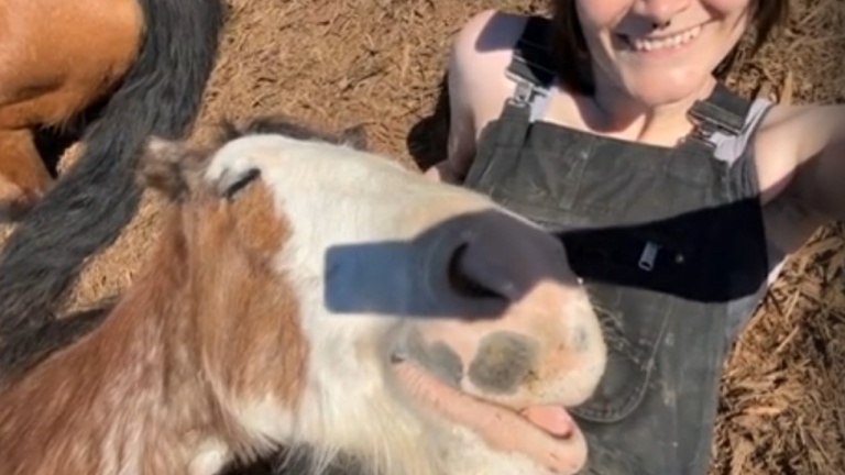 Le cheval fait une sieste sur les genoux d'une fille