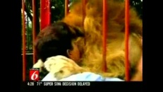 Lion sauvé, femme sauveuse!
