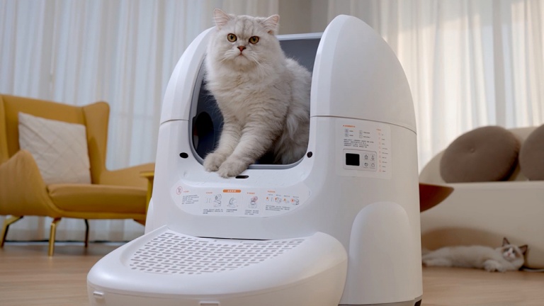 Pourquoi choisir la litière automatique Amicura pour votre chat?
