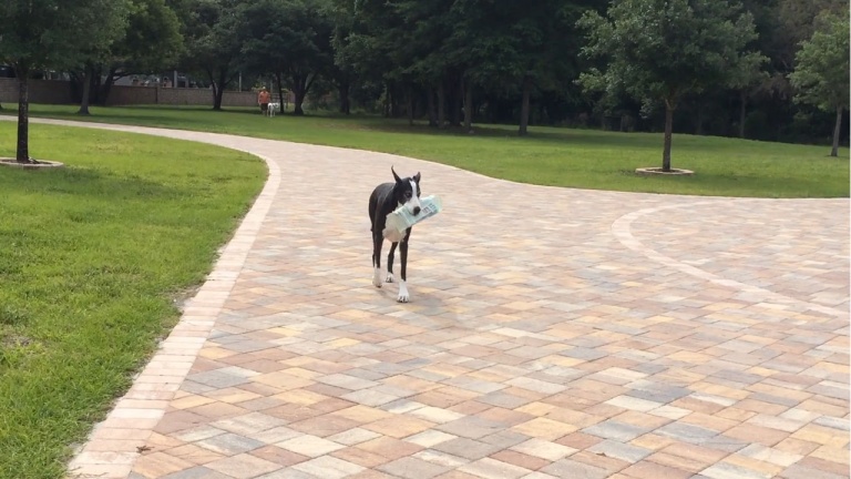 La livraison du journal du matin, une nécessité