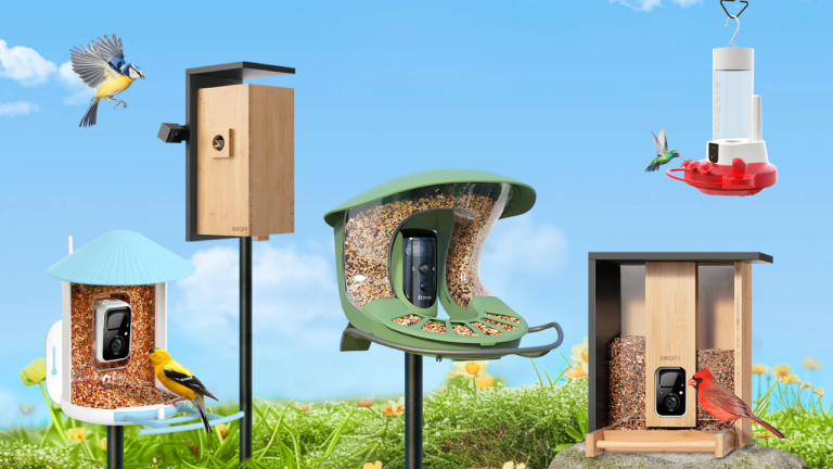 Voyez des oiseaux avec une mangeoire intelligente munie d'une caméra
