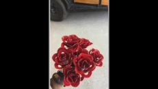 Des fleurs qui ne fanent jamais 