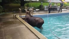 Une baignade malheureusement interrompue 