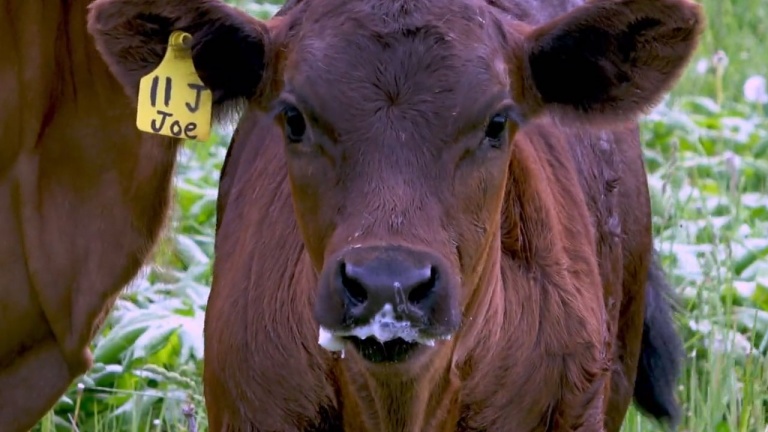 Un look mignon sur n’importe qui