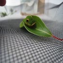 Un impressionnant moyen de défense