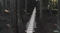 Xylophone géant dans une forêt japonaise