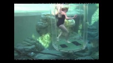Baignade avec un croco