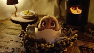 La vraie histoire du lapin de Pâques