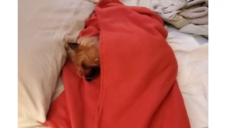 Comment être plus clair?