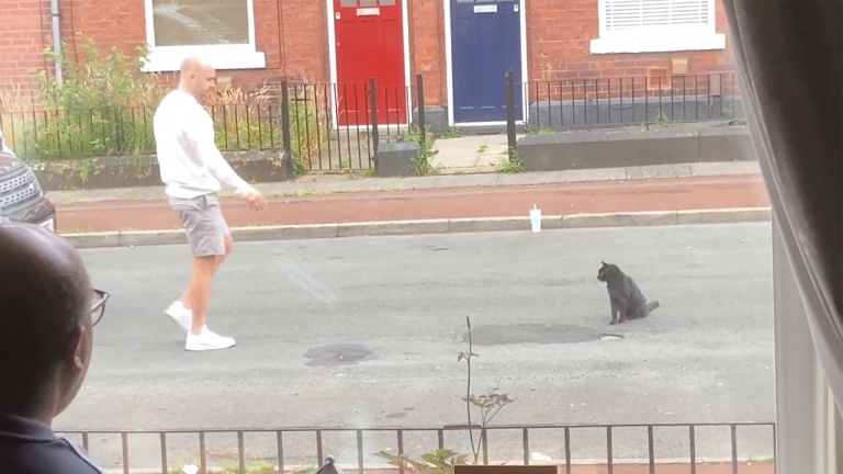 Moi, je ne bouge pas! Toi, en revanche…