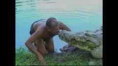 Crocodile domestiqué