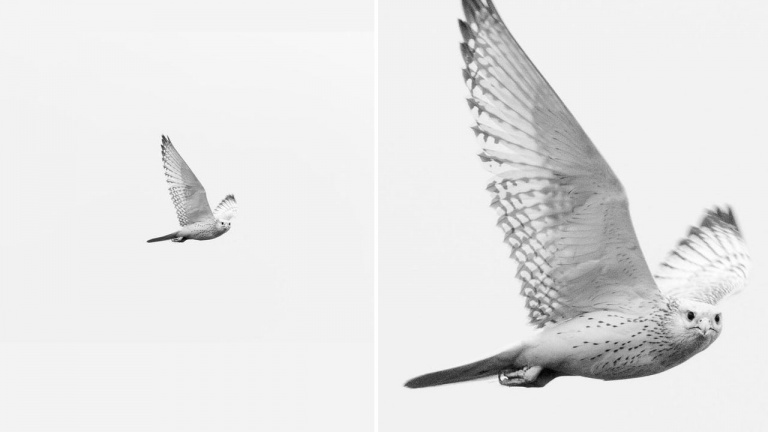 Améliorez considérablement la résolution de vos photos avec cet outil d’Adobe 