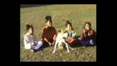 Chien joue à Jean dit