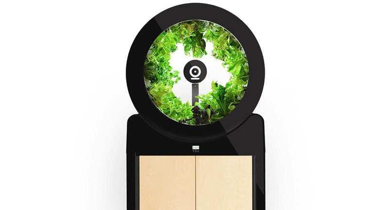 Cultivez tous vos fruits et légumes chez vous avec cette serre miniature Cultivez tous vos fruits et légumes chez vous avec cette serre miniature