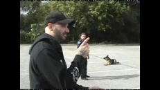 Chien policier en service