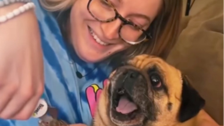 Les animaux les plus dramatiques
