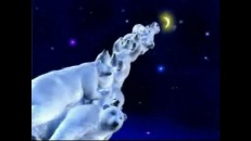 Les ours de Coke