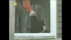 Miow… ouvre-moi la porte