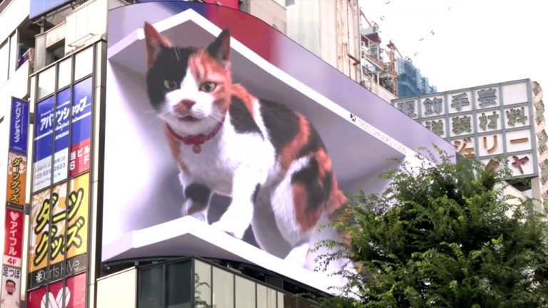 Amoureux des félins? Ce panneau publicitaire japonais vous fera fondre!
