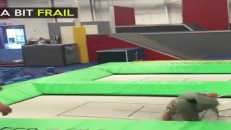 Faire du trampoline n'a pas de secret pour ce monsieur de 63 ans